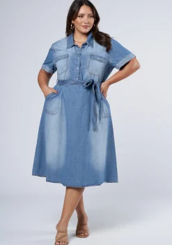 Ari Denim Midi Dress