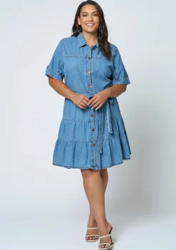 Carla Chambray Denim Dress