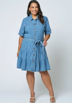 Carla Chambray Denim Dress