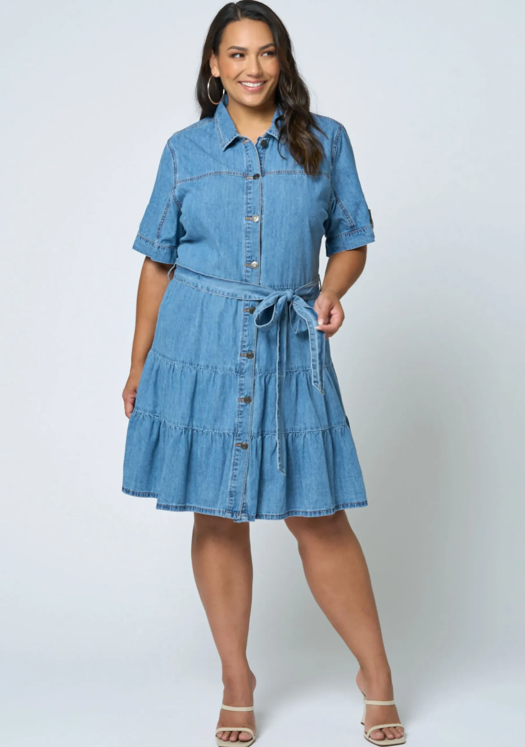 Carla Chambray Denim Dress