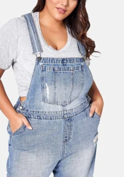 Dana Distressed Overalls