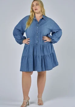 Emer Denim Mini Dress