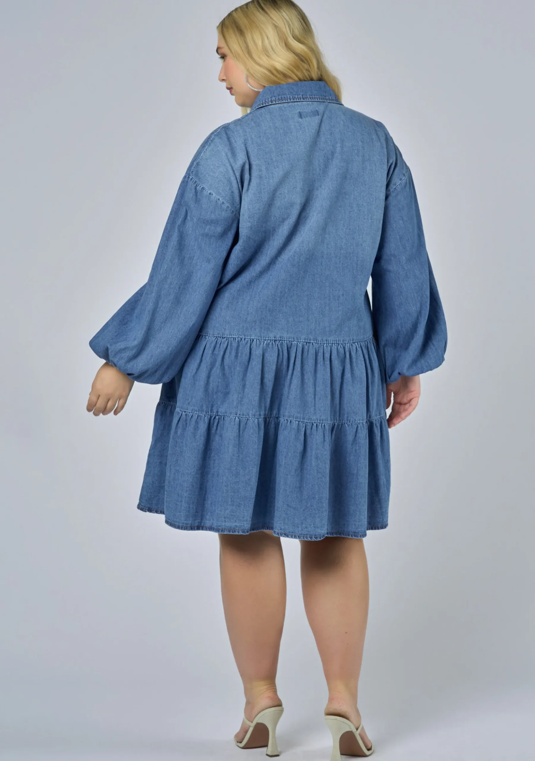 Emer Denim Mini Dress