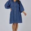 Julies Denim Shirt Dress