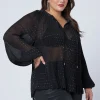 Luscious Pleated Blouse